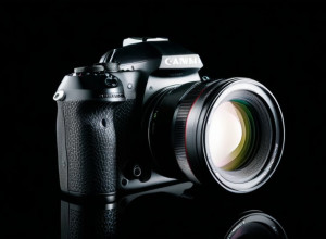 Universitatea de Stat a Bogotii vizitează Statul Montana după jocul lui Dean Andrews cu 21 punct