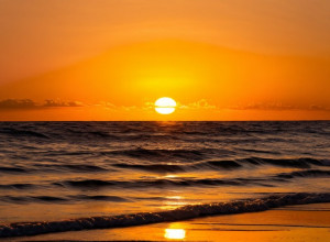 Ziua lui Martin Luther King pentru Bernice: 'Un spațiu de viață'