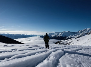 Senatatorul Tom Tillis nu se îmbătrânesc de către căderea guvernului