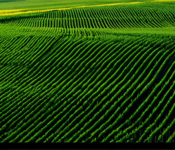 Călătorie prin România: De la Munții Carpați la Marea Neagră