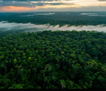 Discuțiile ONU privind clima intră în faza decisivă: Miniștrii preiau frâiele la COP30