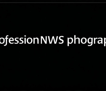 Cum să utilizați JSON Schema pentru validarea datelor
