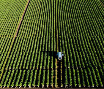 Aplicarea tehnologiilor inteligenței artificiale în agricultură
