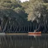 Atac mortal aligator în Florida: Femeie ucisă după ce o canoe a fost răsturnată