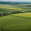 UE Lansează Noi Standarde pentru Agricultura Durabilă: Ce Implicații au pentru Fermierii Români