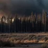 Un bărbat din California, găsit vinovat de declanșarea unui incendiu major