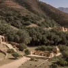 Pelerinaj Hindu istovitor în Pakistan: Sute de credincioși au parcurs 300 km pe jos către locuri sfinte