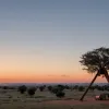 Africa de Sud deschide calea pentru Starlink: Noi reglementări facilitează licențierea internetului prin satelit