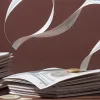 Proiectul de lege Republican din SUA: Ce "cadouri" ascunse conține pachetul mare?