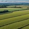 Republicanii și Grupurile Agricole din SUA Pun Sub Semn Întrebare Raportul MAHA
