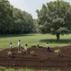 Minnesota: Programul "Green Crew" ajută adolescenții să combată anxietatea climatică prin acțiune ecologică