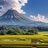 Ministrul Agriculturii din Japonia a demisionat după declarația controversată despre orez