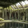 Insulele plutitoare ale aztecilor la Bienala de la Veneția: Chinampas inspiră agricultura și designul sustenabil