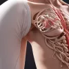 Președintelui SUA Joe Biden i-a fost extirpat cancer de piele: detalii despre diagnostic și starea de sănătate