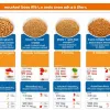 Studiu: Cerealele pentru mic dejun din SUA devin tot mai puţin sănătoase