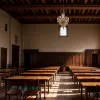 Harvard: Un număr semnificativ de studenți străini caută transferul din cauza nemulțumirii față de online