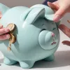 Proiect de lege în SUA: 1000 de dolari pentru fiecare nou-născut, depuși în conturi speciale