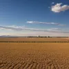 Cum folosește China "munca" pentru a remodela identitatea uigură și a controla regiunea strategică Xinjiang