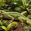 Descoperă zeci de specii de gecko la o mică grădină zoologică din Brooklyn