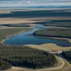 Tensiuni Politice în Canada: Creșterea Sentimentului Separatist în Alberta
