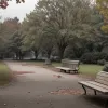 Bronx, New York: Criza drogurilor a transformat un parc îndrăgit într-o zonă periculoasă