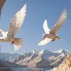 PKK anunță că este gata să pună capăt conflictului cu Turcia