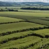 Guvernul va restaura datele climatice șterse de fermieri în urma unui proces