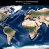 Trump vrea taxe pe coletele mici din China: ce înseamnă asta pentru comerțul global?