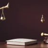 Caz Neobișnuit Privind Cetățenia Prin Naștere Aflat Pe Rol În SUA