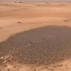 Sudanul, la un pas de foamete: Criza umanitară se agravează pe fondul ajutorului insuficient din partea SUA