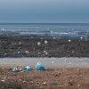 Avertismentul Experților: Ce Trebuie Să Știm Despre Microplastice și Impactul Lor