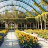 Expoziția "Florile lui Van Gogh" la Grădina Botanică din New York: Arta prinde viață în natură