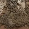 Arta Persistenței: Artista Braziliană Rosana Paulino și Lucrările Sale Despre Memorie și Identitate