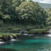 Frank Graham Jr., reputat scriitor de mediu pentru revista Audubon, a murit la vârsta de 100 de ani