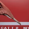 Jack Ciattarelli câștigă nominalizarea republicană pentru guvernator în New Jersey, cu sprijinul lui Trump