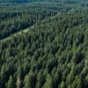 Căutarea tatălui acuzat de uciderea celor 3 fiice se extinde în pădurile din Washington
