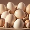 Focar de Salmonella legat de ouă: Zeci de persoane s-au îmbolnăvit
