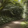 Dora Exploratoarea sărbătorește 25 de ani: un fenomen cultural și noi aventuri
