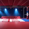 A murit Hulk Hogan: legenda wrestlingului care a definit anii '80, de la erou la figură controversată