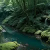 Dezastru ecologic în SUA: Mii de litri de combustibil s-au scurs într-un râu vital pentru somoni