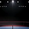Hulk Hogan a murit în urma unui atac de cord, confirmă medicul legist