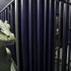 „Castelul Aligatorilor” din Florida: deținuții, ținuți fără acuzații și fără acces la avocați