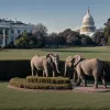 Ofensiva Republicană: Trump nu-l 'uită' pe Biden și lansează investigații în Congres împotriva fostului președinte