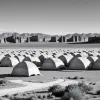 SUA construiesc o tabără gigantică pentru 5.000 de imigranți în Texas