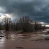 Tragedie în Texas: Peste 50 de morți și zeci de fete dispărute în urma unor inundații catastrofale