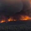Incendii devastatoare în Siria: Sute de familii evacuate, ONU intervine pe coasta Latakia