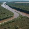 SUA: Un proiect anti-inundații de 918 milioane de dolari amenință specii de broaște țestoase pe cale de dispariție