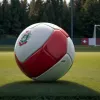 Accidentare gravă: Emma Snerle ratează ultimul meci al Danemarcei din preliminariile Euro 2025 din cauza unei comoții
