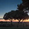 Rodeo, barbecue și spirit de gaucho: Argentina a sărbătorit cu fast Ziua Independenței