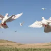 Negocieri Armenia-Azerbaidjan la Abu Dhabi: Niciun progres major în conflictul din Caucazul de Sud